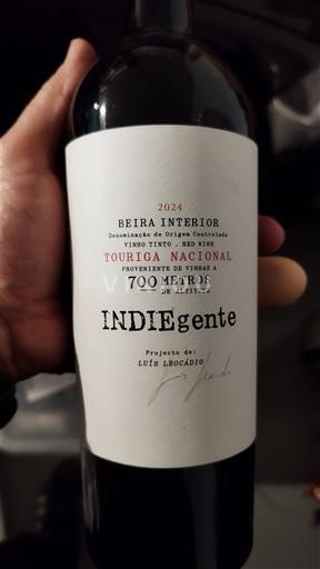 Беира Интериор Beira Interior Luís Loboac¸a~o INDIEgente 2024