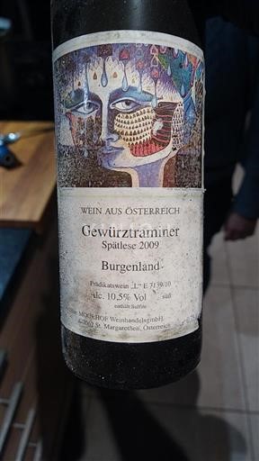 Бургенланд Nespecificirano Weingut Migsich 2009