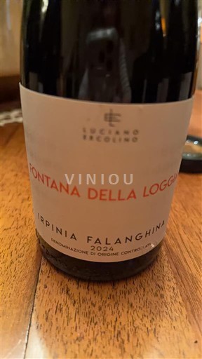 Kampania E paspecifikuar Luciano Ercolino Fontana Della Loggia 2024