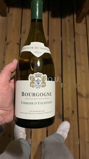 Burgundy Château Meursault Terroir d'Exception 2019