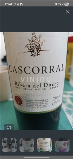 Kastilja dhe Leoni Ribera del Duero Cascorral 2004