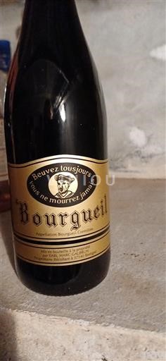 Dolina Loare Бургеиља Domaine Galbrun 2022