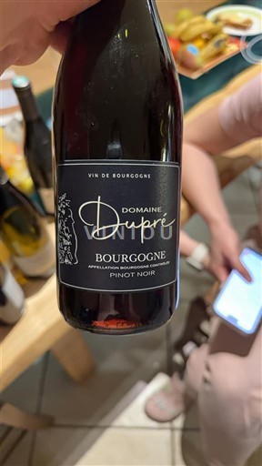 Burgundy Domaine Dupré Non-Vintage