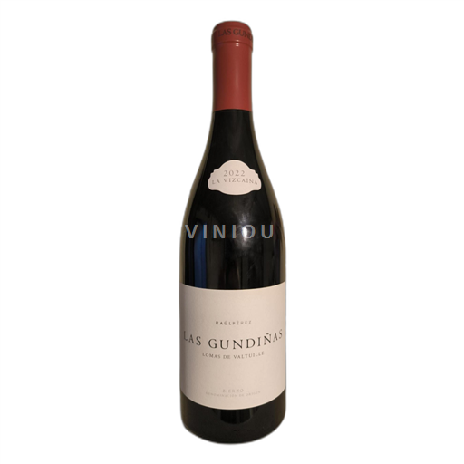 Castilien og León Bierzo Raúl Pérez Bodegas y Viñedos La Vizcaína 2022