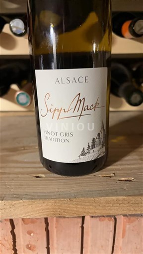 Алзас Пино гри Sipp Mack Tradition 2021
