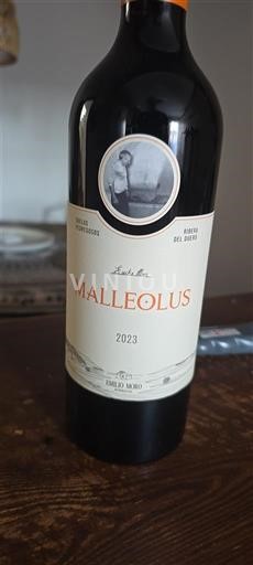 Kastilja dhe Leoni Ribera del Duero Emilio Moro Malleolus 2023