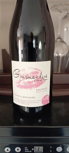 Dolina Loare Сомур Domaine La Bonnelière La Gourmandine Non Millésimé