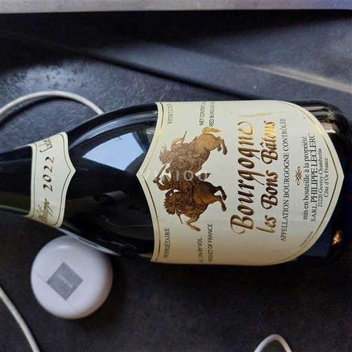 Burgund Domaine Philippe Leclerc Les Bons Batons 2022