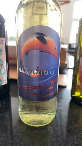 Abruco Abruzzo Tempo Sospeso Muto Come un Pesce 2023