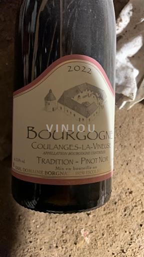 Burgundi Burgundi Coulanges-la-Vineuse Domaine SARL Domaine Borgnat Tradition - Pinot Noir 2022