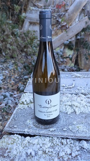 Burgund Pouilly-fuissé Premier Cru Thierry Drouin 2023