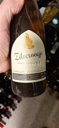 Фландрија Nespecificirano Hellekapelle Zilveroogje 2022