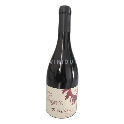 Languedoc Terrasses del Larzac Mas d'Agamas Baies Choisies 2021