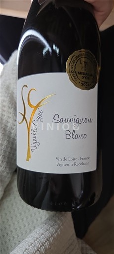 Dolina Loare Долина Лоаре Vignoble Longé Sauvignon Blanc 2023