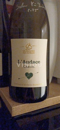 Lugina e Luarës Anžu Domaine Forges L'Audace 2024