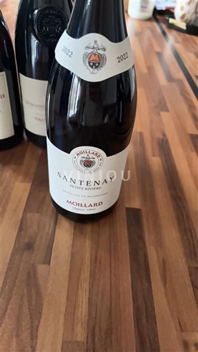 Burgundi Santenay Moillard 2022