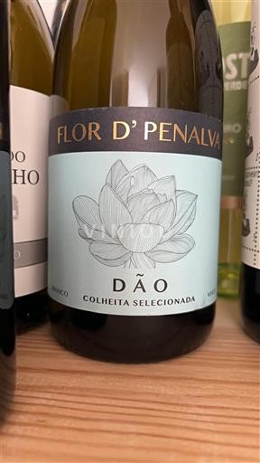 Португалија Дао Flor d'Penalva Colheita Selecionada Non Millésimé
