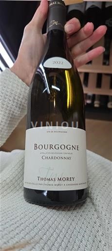 Burgundi Bourgogne Chardonnay Thomas Morey 2022