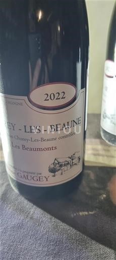 Burgundi Chorey-lès-Beaune Gaugey Les Beaumonts 2022