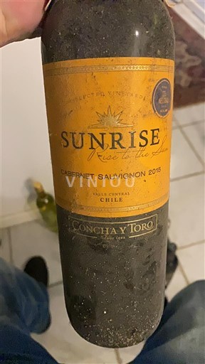 Dolina Maipo Маипо Централ Concha y Toro Sunrise 2015