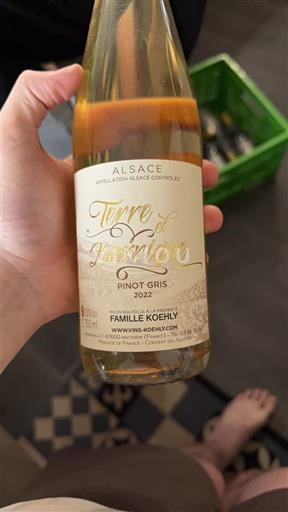 Алзас Пино гри Famille Koehly Terre et Barrique 2022