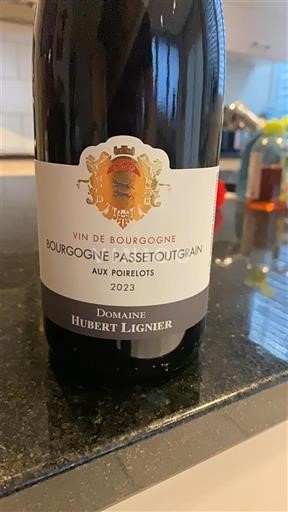 Burgundi Bourgogne-passetoutgrain Domaine Hubert Lignier Aux Poirelots 2023