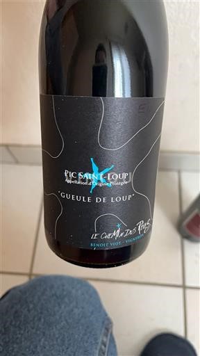 Languedok Pic-saint-loup Le Champ des Ponts Gueule de Loup Jo Viti