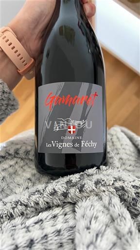 Vaud Les Vignes de Féchy 2024