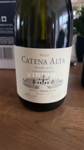 Mendoza Bodega y Viñedos Catena Catena Alta Historic Rows Chardonnay 2022