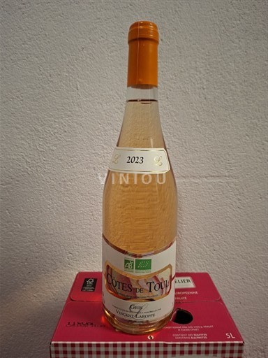 Lorena Кот де Тул Vincent Laroppe GRIS BRULEY 54 2023