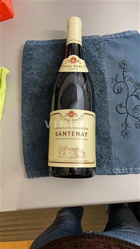 Burgundi Santenay Château Beaune 2015