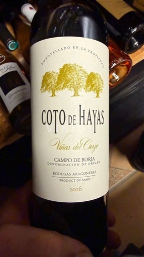 Арагон Кампо де Борха Coto de Hayas Viñas del Cierzo 2016