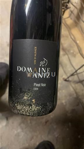 Алзас Аласас Domaine Wantz Eden 2022