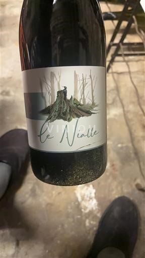 Brisel Брисел Occarius La Niolle 2022