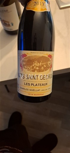 Burgundi Nuits-Sainte-Georges Charles Noëllat Les Plateaux 2017