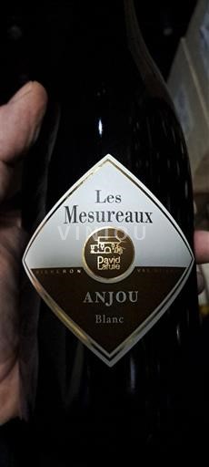 Lugina e Luarës Anžu David & Fanie Les Mesureaux 2023