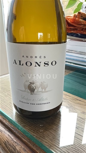 Kastilja-Mança E paspecifikuar Andrés Alonso Follow the Shepherd 2024