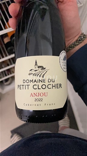 Lugina e Luarës Anžu Domaine Petit Clocher 2022