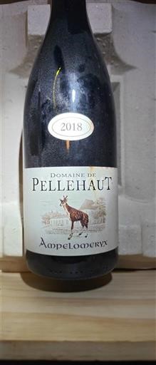 Jugperëndim Bregdeti i Gasconisë Domaine Pellehaut Ampelomeryx 2018