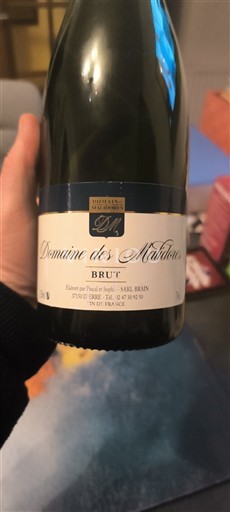 Savoja i Bugej Jongije Domaine Malidaines Non Millésimé