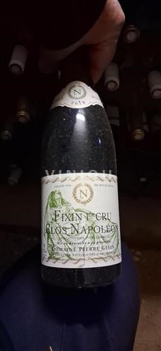 Burgundi Fixin Premier Cru Domaine Pierre Gelin Clos Napoléon 2018