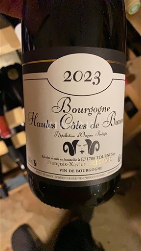 Burgundi Hautes Côtes de Beaune François-Xavier Delorme 2023
