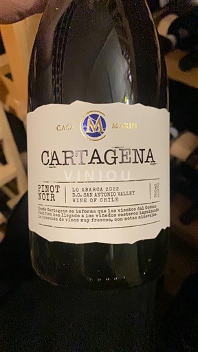 San Antonio-dalen San Antonio Valley Casa Marín Cartagena 2022