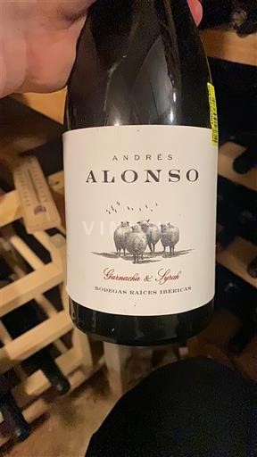 Aragoni Aragon Andrés Alonso 2020