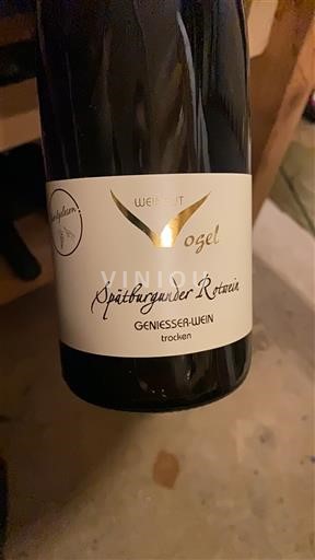 Баден Weingut Vogel Spätburgunder Rotwein Genießer-Wein trocken 2021