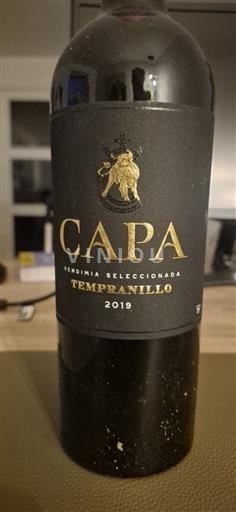 Кастиља-Ла Манча Nespecificirano Capa Vendimia Seleccionada 2019