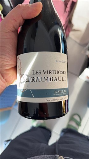 Vin Rouge sec Les Virtuoses Raimbault 2021 Francuska Југозапад Gaillac AOC