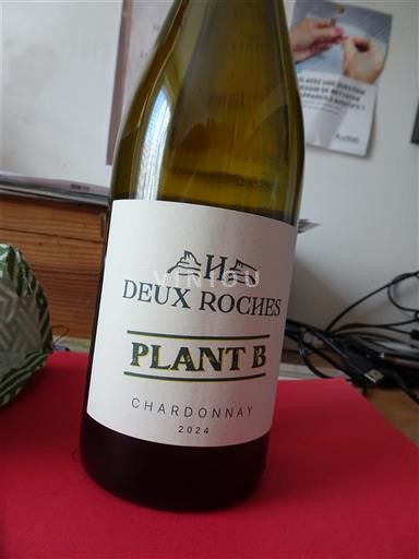 Burgundy Mâcon and Mâcon-Villages Domaine Deux Roches Plant B 2024