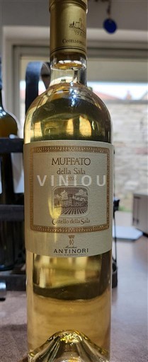 Umbria Castello della Sala Muffato della Sala 2023