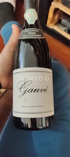 Португалија Дао Meireles, Olazabal & Borges Gauvê 2015